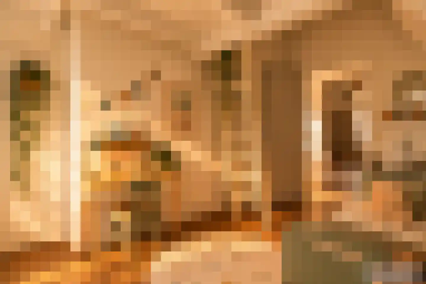 Govert Flinckstraat 408 2 Amsterdam thumbnail 22