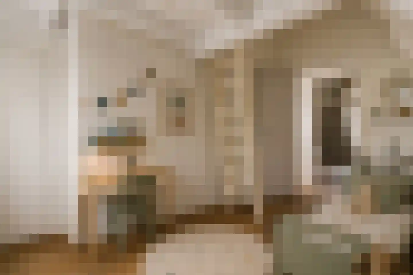 Govert Flinckstraat 408 2 Amsterdam thumbnail 24