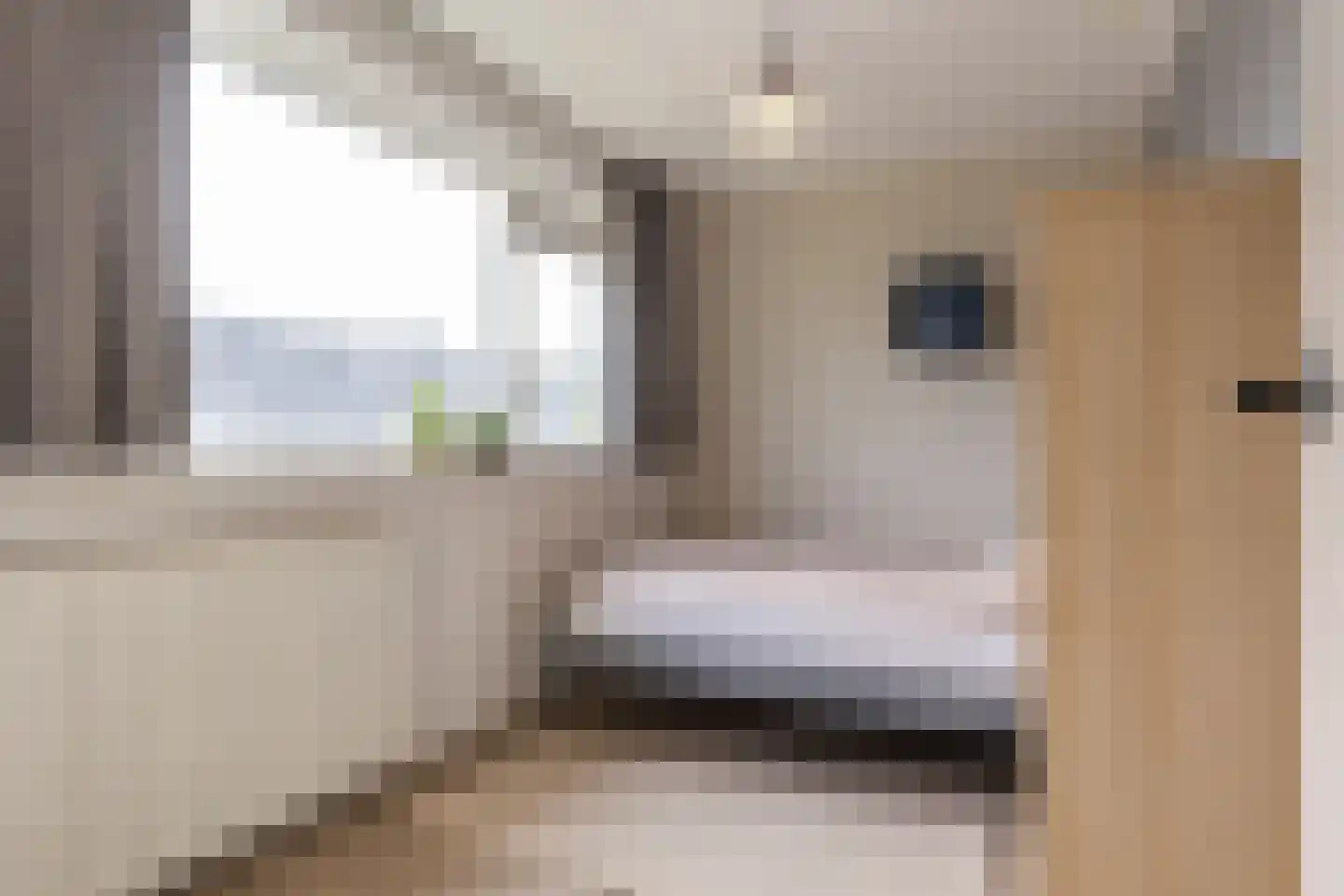 Govert Flinckstraat 8 Apeldoorn thumbnail 21