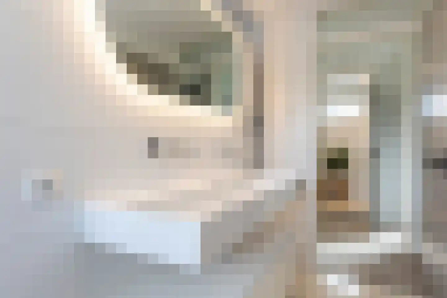 Govert Flinckstraat 8 Apeldoorn thumbnail 22