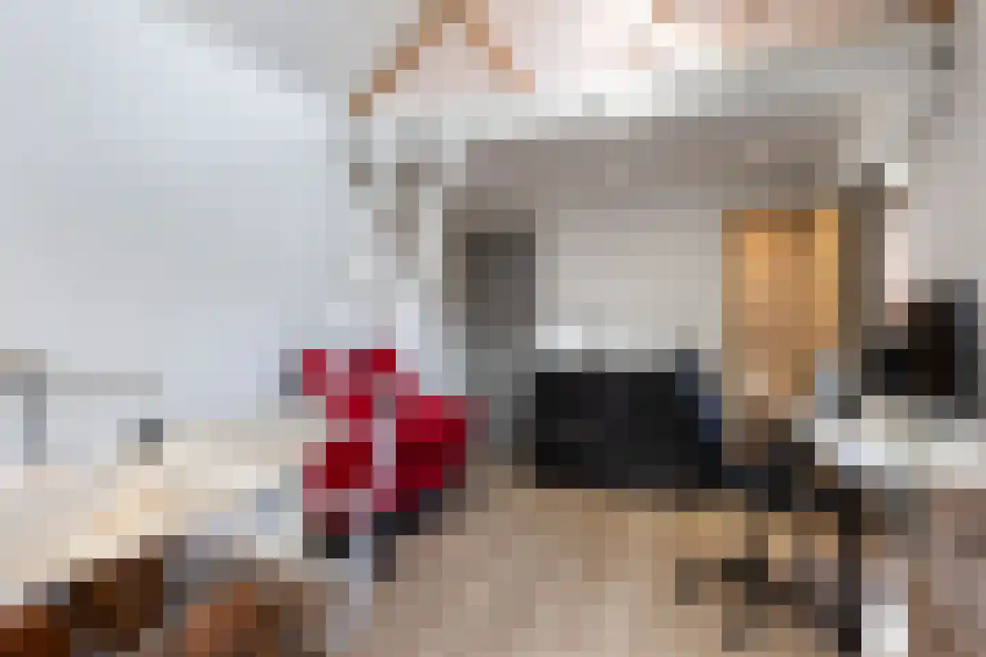 Govert Flinckstraat 8 Apeldoorn thumbnail 34