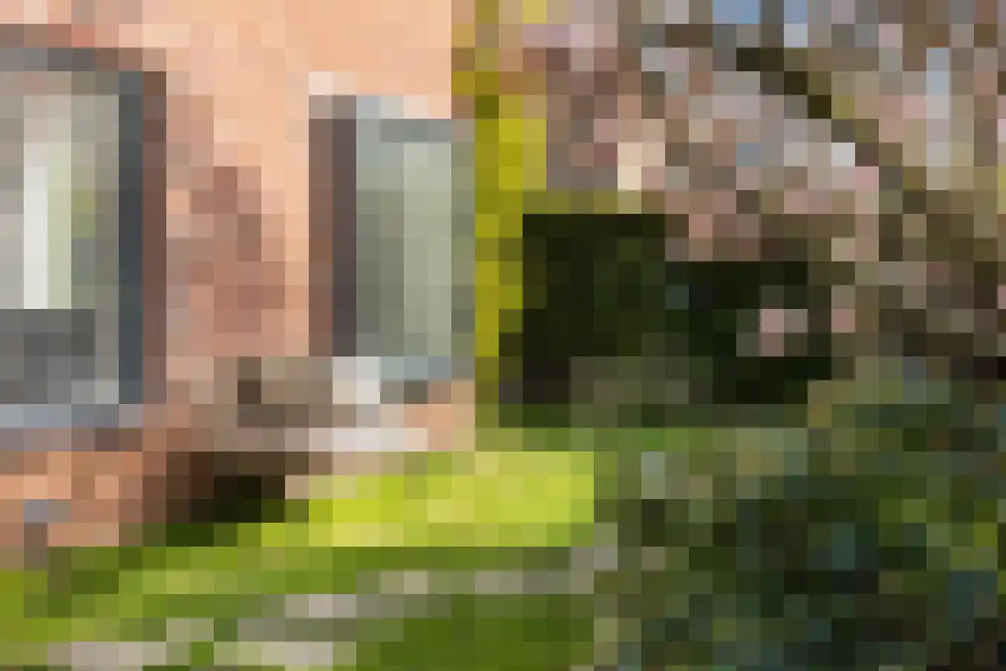 Govert Flinckstraat 8 Apeldoorn thumbnail 44