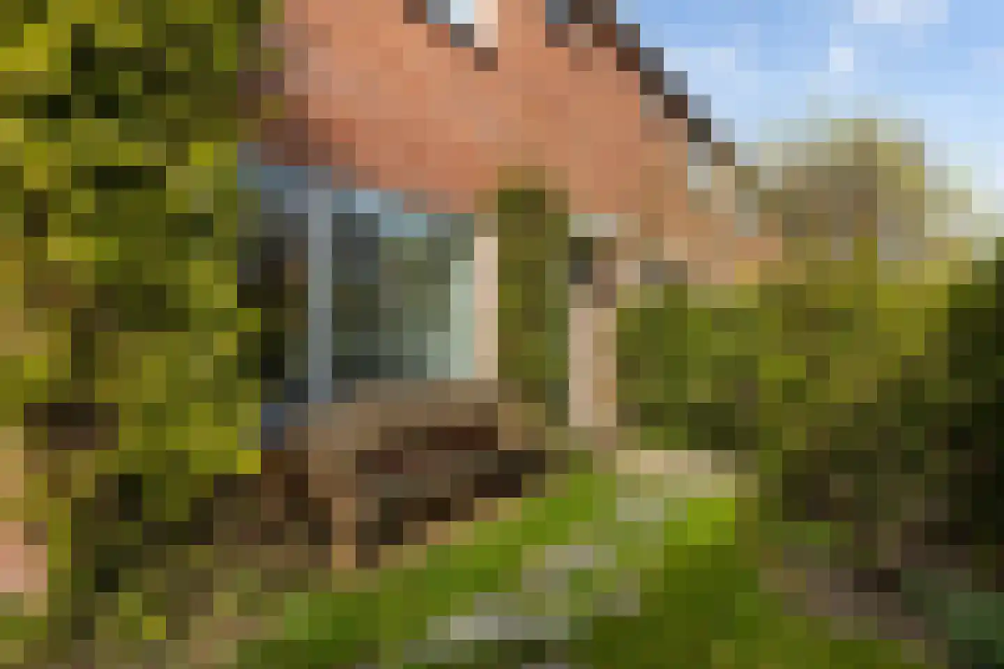 Govert Flinckstraat 8 Apeldoorn thumbnail 46