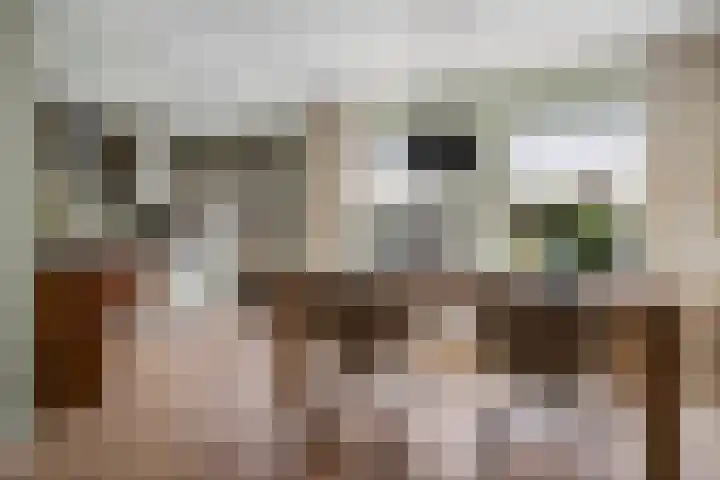 Govert Flinckstraat 8 Drunen thumbnail 10