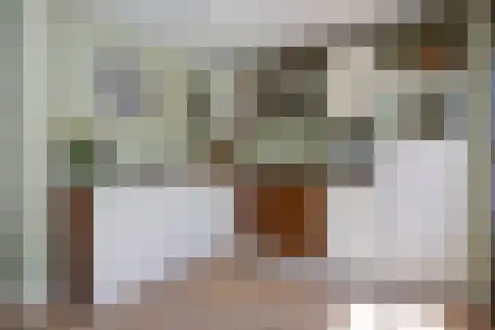 Govert Flinckstraat 8 Drunen thumbnail 11