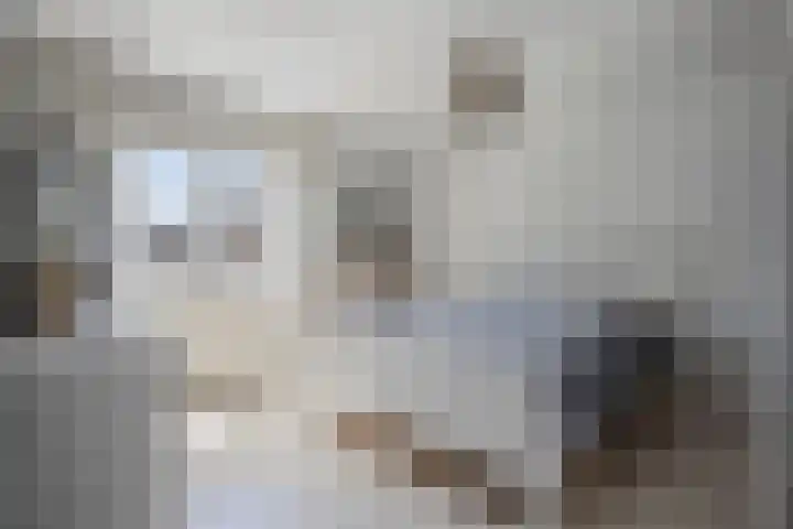Govert Flinckstraat 8 Drunen thumbnail 12