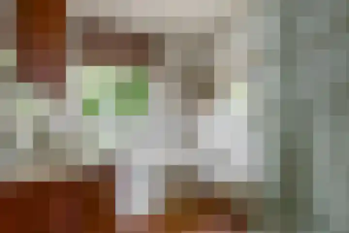 Govert Flinckstraat 8 Drunen thumbnail 14