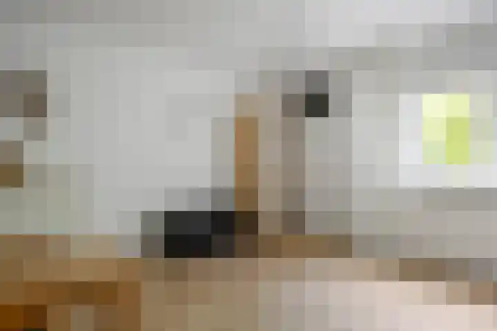 Govert Flinckstraat 8 Drunen thumbnail 16
