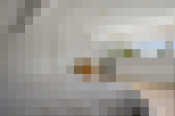 Govert Flinckstraat 8 Drunen thumbnail 23