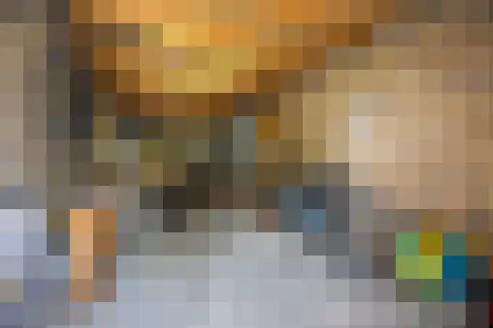 Govert Flinckstraat 8 Drunen thumbnail 29