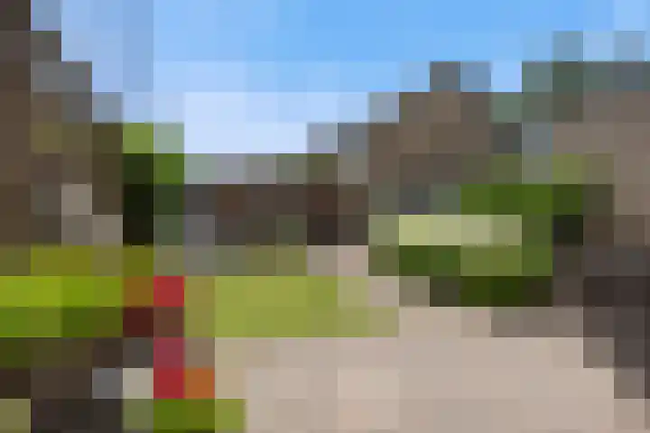 Govert Flinckstraat 8 Drunen thumbnail 4