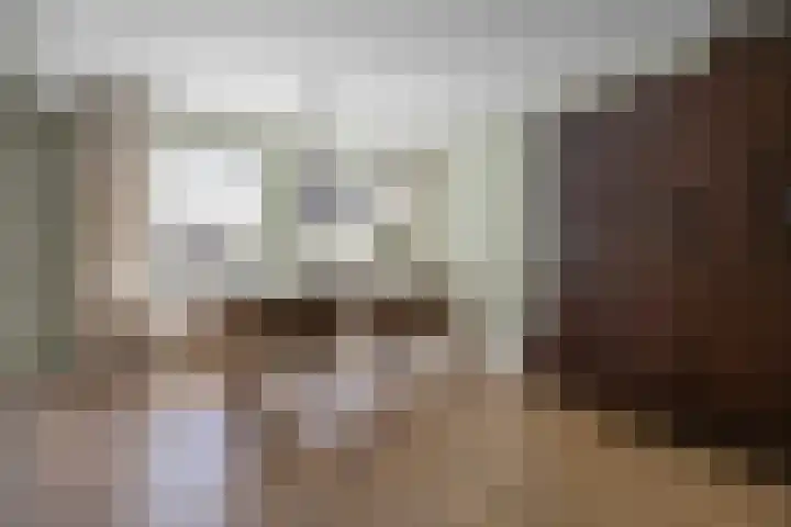 Govert Flinckstraat 8 Drunen thumbnail 9
