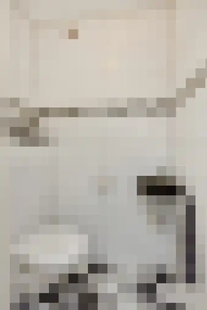 Govert Flinckstraat 9 Deurne thumbnail 10