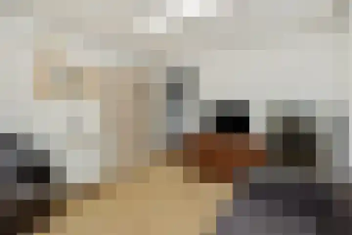 Govert Flinckstraat 9 Deurne thumbnail 11
