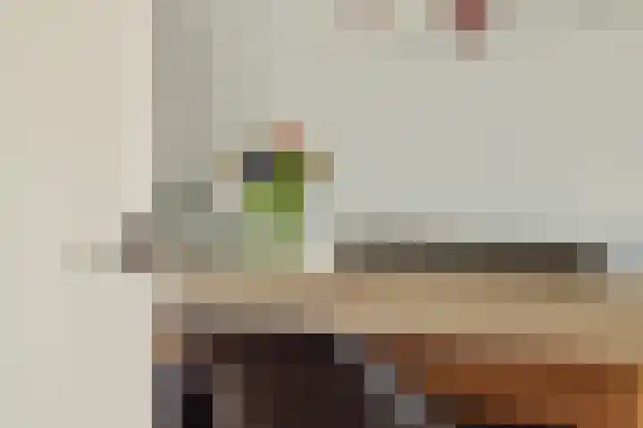 Govert Flinckstraat 9 Deurne thumbnail 13