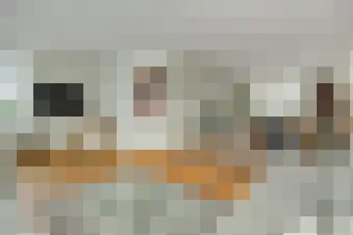 Govert Flinckstraat 9 Deurne thumbnail 14