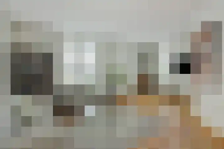 Govert Flinckstraat 9 Deurne thumbnail 15