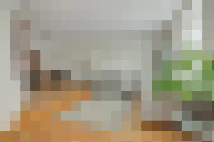 Govert Flinckstraat 9 Deurne thumbnail 17