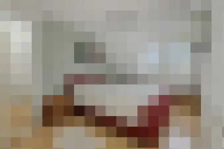 Govert Flinckstraat 9 Deurne thumbnail 25