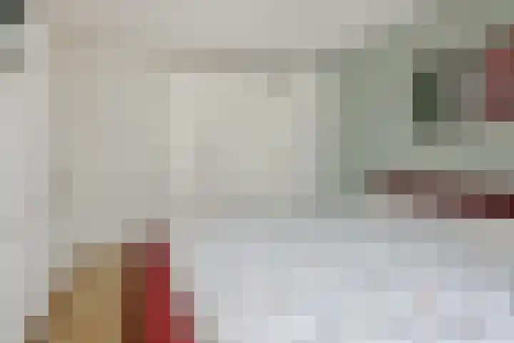 Govert Flinckstraat 9 Deurne thumbnail 26
