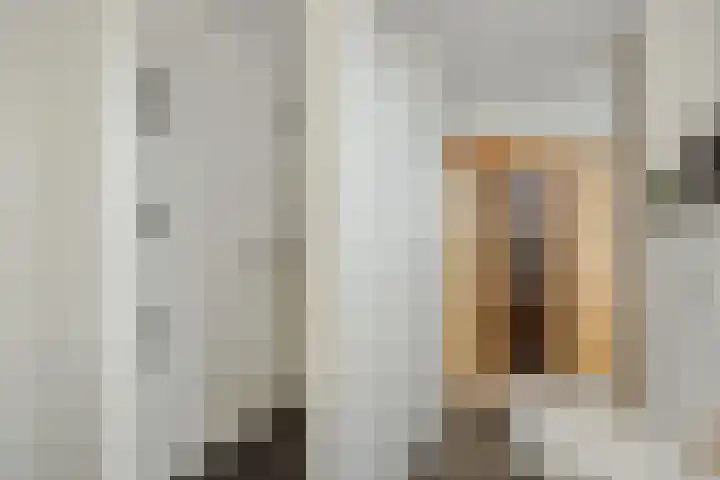 Govert Flinckstraat 9 Deurne thumbnail 29