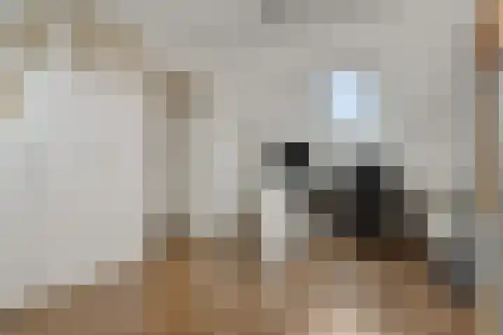 Govert Flinckstraat 9 Deurne thumbnail 34