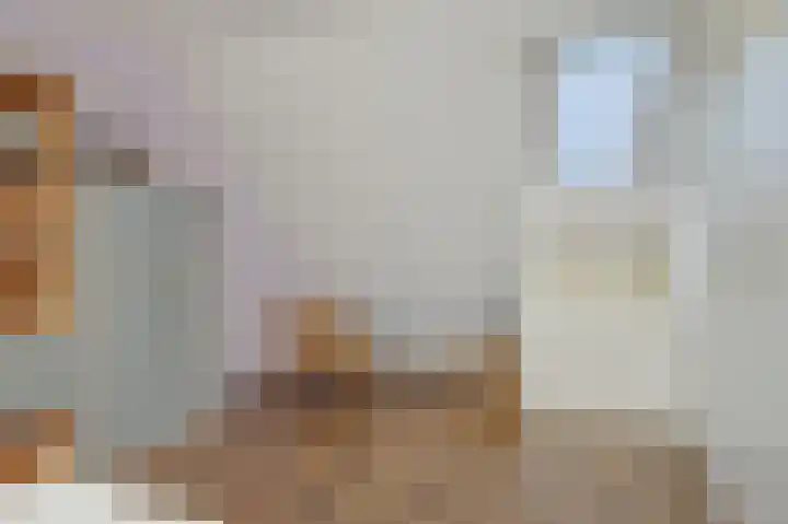 Govert Flinckstraat 9 Deurne thumbnail 35