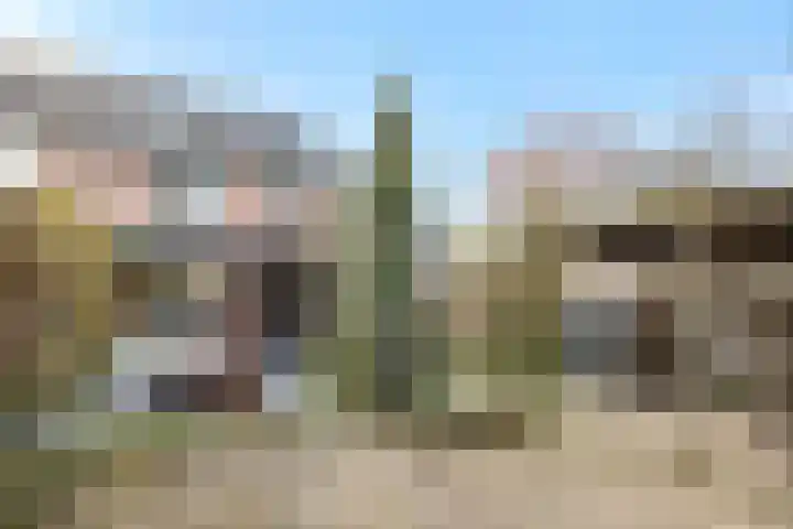 Govert Flinckstraat 9 Deurne thumbnail 38