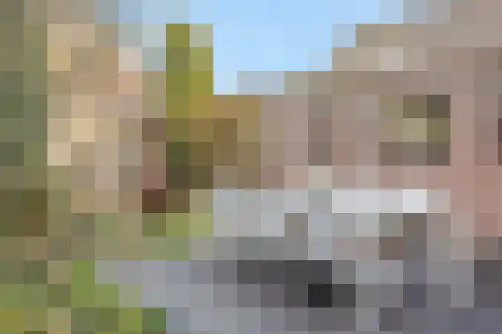 Govert Flinckstraat 9 Deurne thumbnail 39