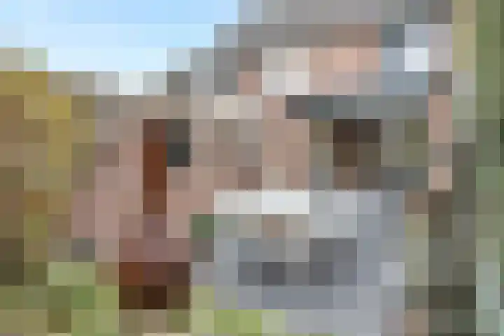 Govert Flinckstraat 9 Deurne thumbnail 41