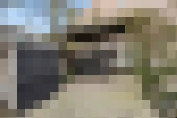 Govert Flinckstraat 9 Deurne thumbnail 44