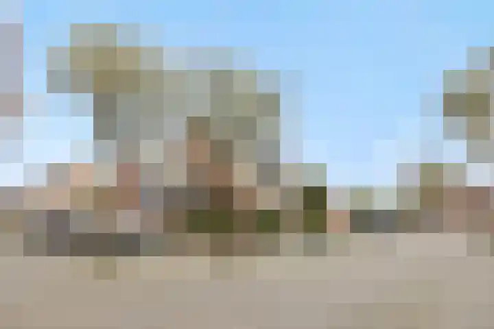 Govert Flinckstraat 9 Deurne thumbnail 47