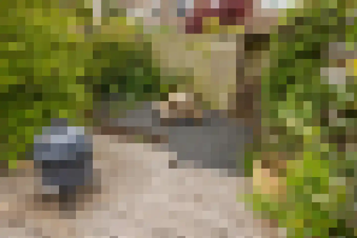 Govert Flinckstraat 9 Utrecht thumbnail 21