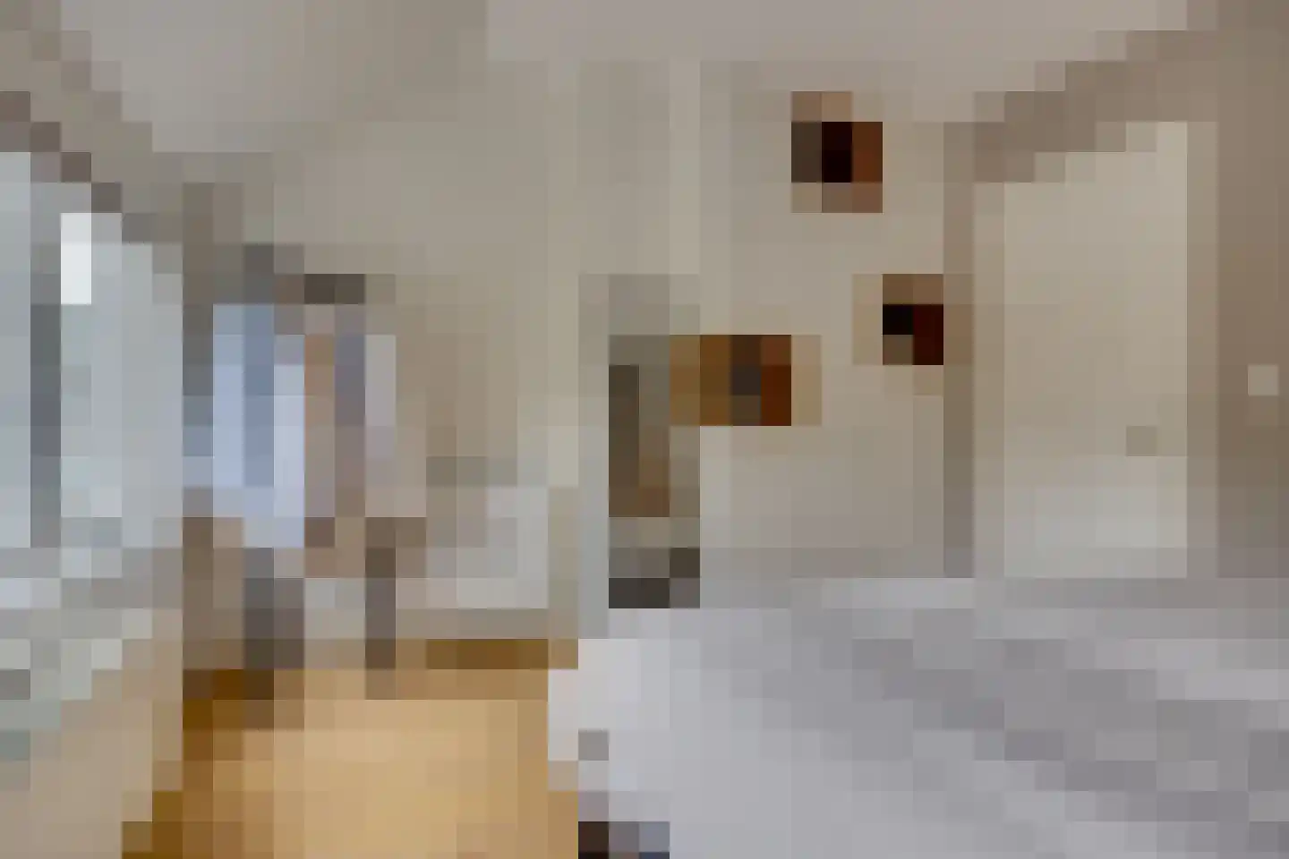 Govert Flinckstraat 9 Utrecht thumbnail 30