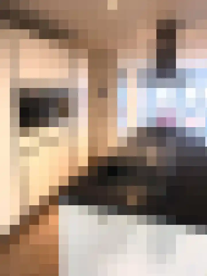Govert Flinckstraat 93 Amsterdam thumbnail 5