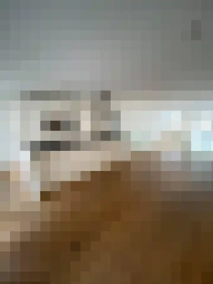 Govert Flinckstraat 93 Amsterdam thumbnail 6