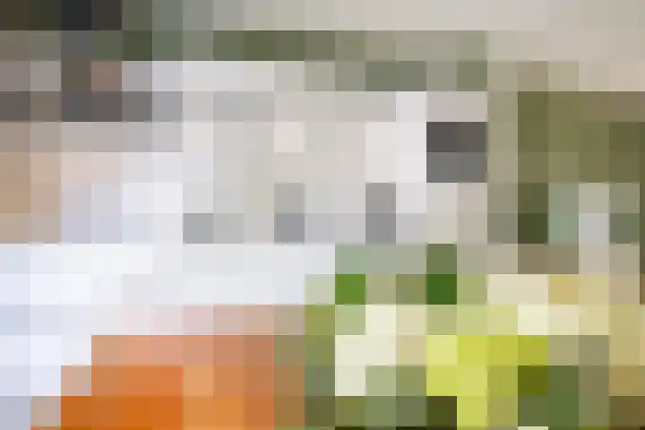 Govert Flinkstraat 11 Ede thumbnail 11