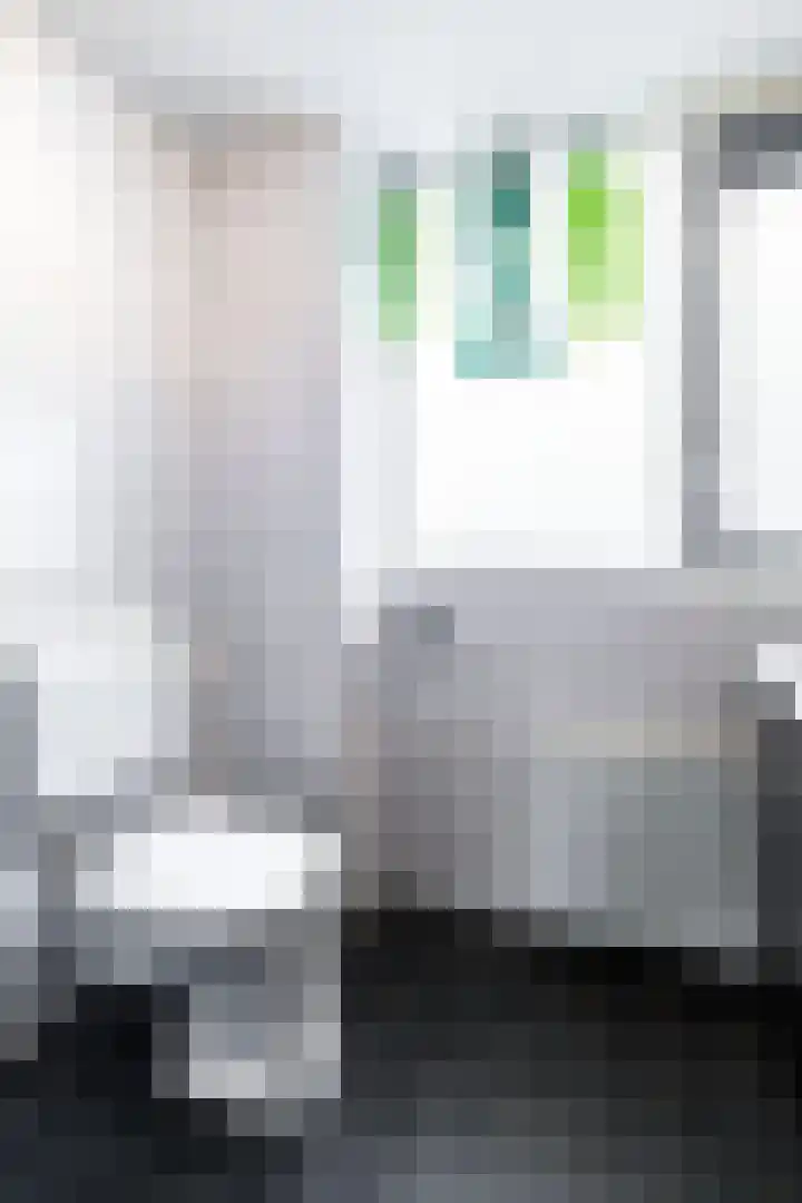 Govert Flinkstraat 11 Ede thumbnail 23