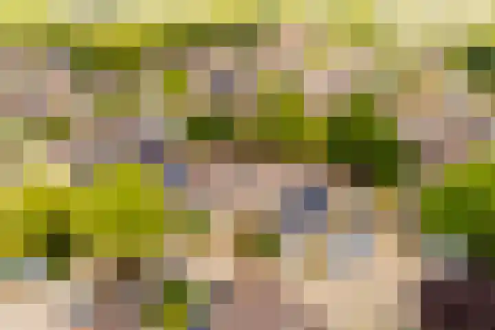 Govert Flinkstraat 11 Ede thumbnail 32