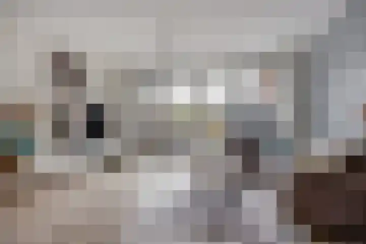 Govert Oostwoudpad 11 Zwaag thumbnail 10