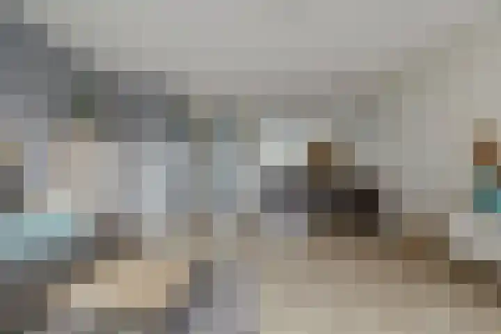 Govert Oostwoudpad 11 Zwaag thumbnail 15