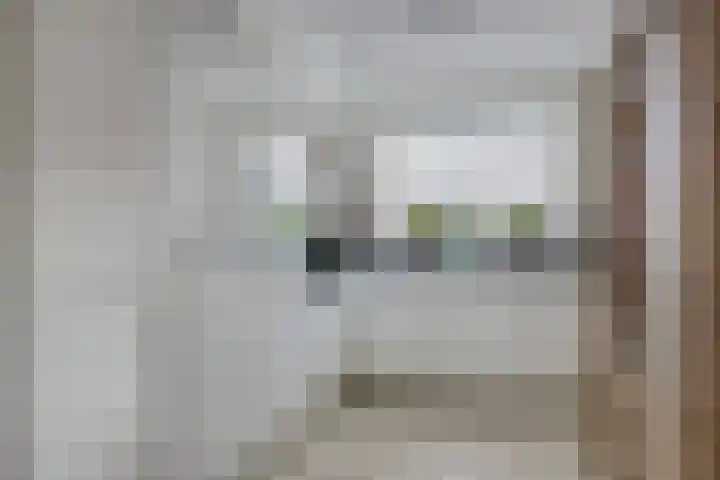 Govert Oostwoudpad 11 Zwaag thumbnail 18