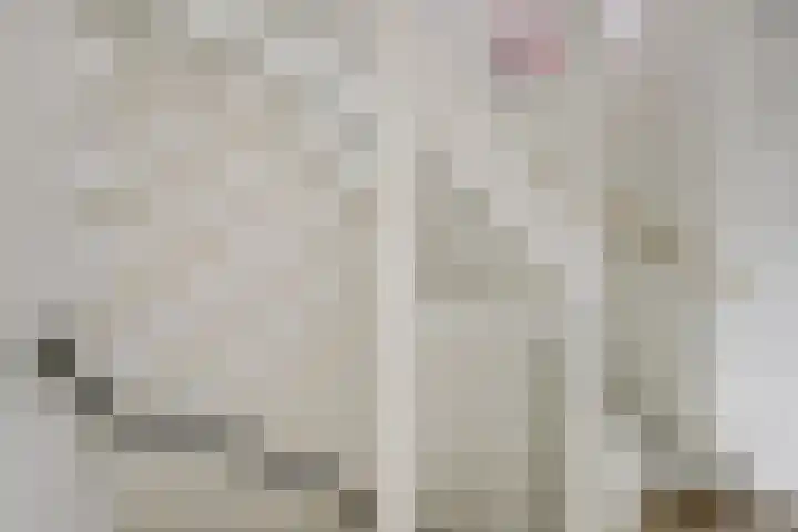 Govert Oostwoudpad 11 Zwaag thumbnail 23