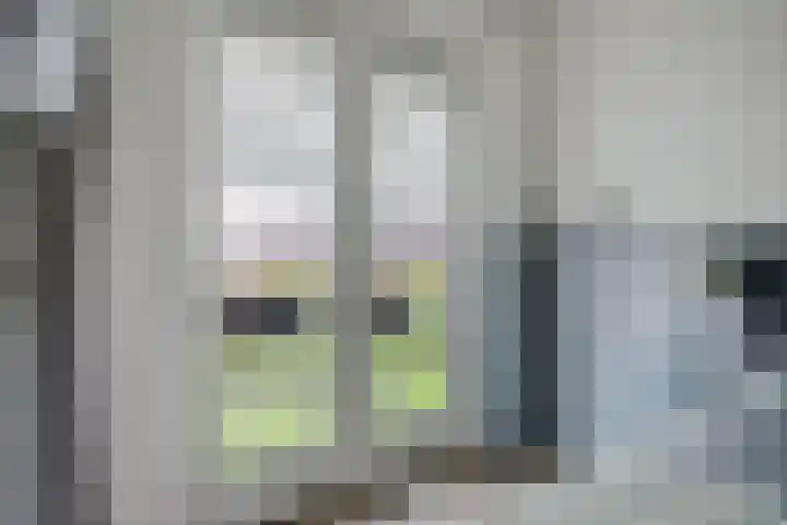 Govert Oostwoudpad 11 Zwaag thumbnail 25