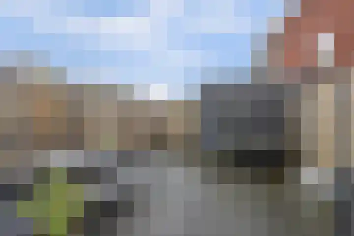 Govert Oostwoudpad 11 Zwaag thumbnail 38