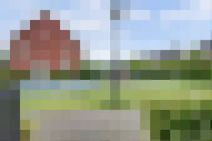 Govert Oostwoudpad 11 Zwaag thumbnail 45