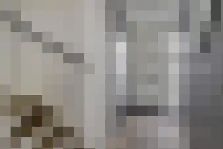 Govert Oostwoudpad 11 Zwaag thumbnail 7
