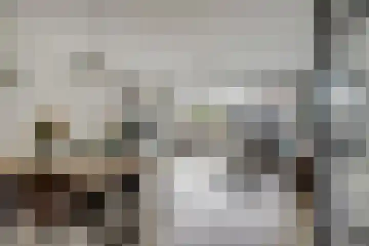 Govert Oostwoudpad 11 Zwaag thumbnail 8
