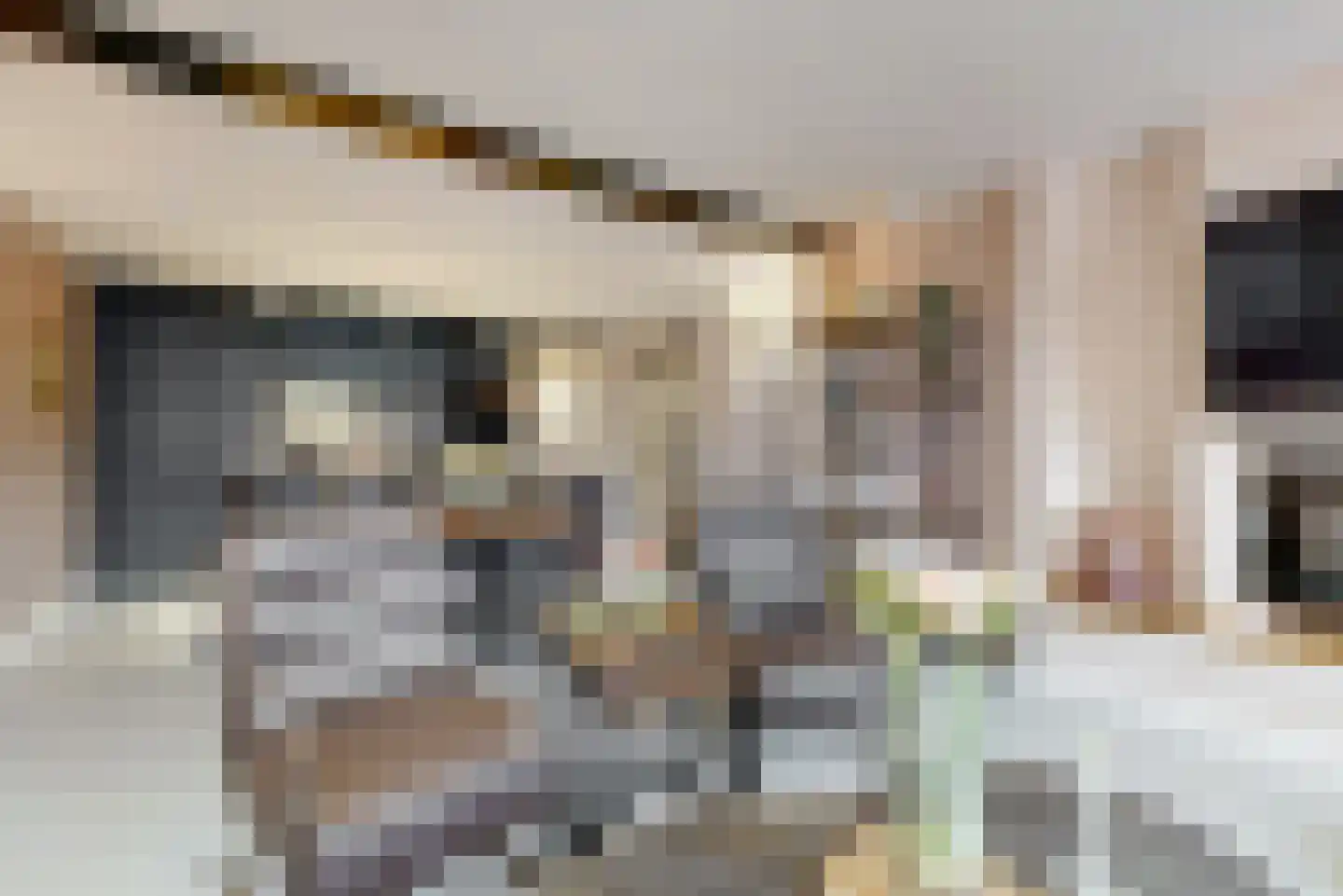 Govert van Wijnkade 21 Maassluis thumbnail 17