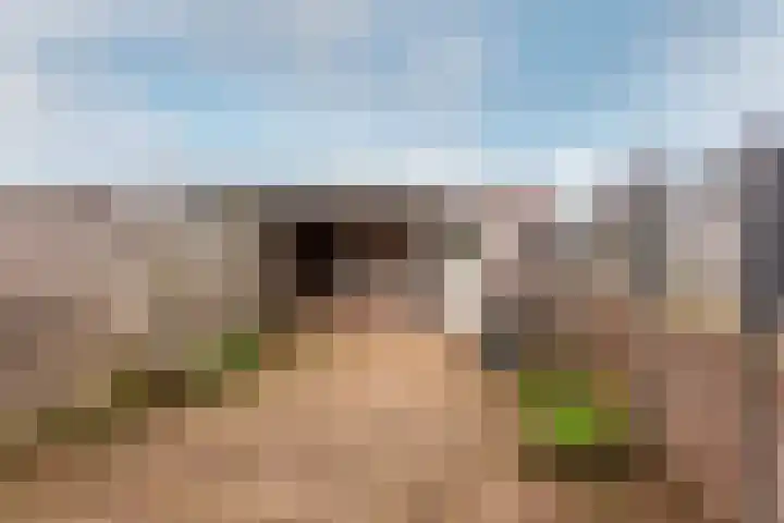 Goyastraat 25 Almere thumbnail 12